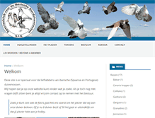 Tablet Screenshot of de-sis.nl
